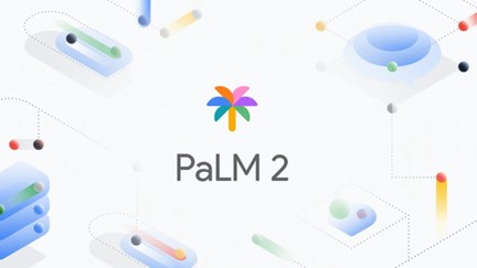 Palm 2 Google Image